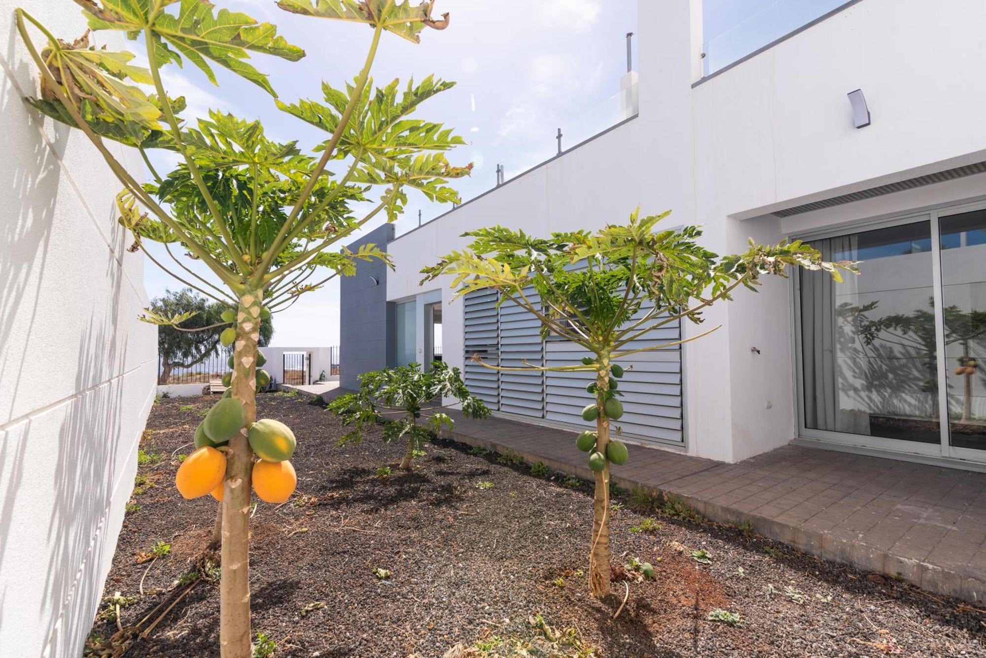 House Near The Beach W Sea View Arico Екстер'єр фото